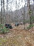 On the Trail